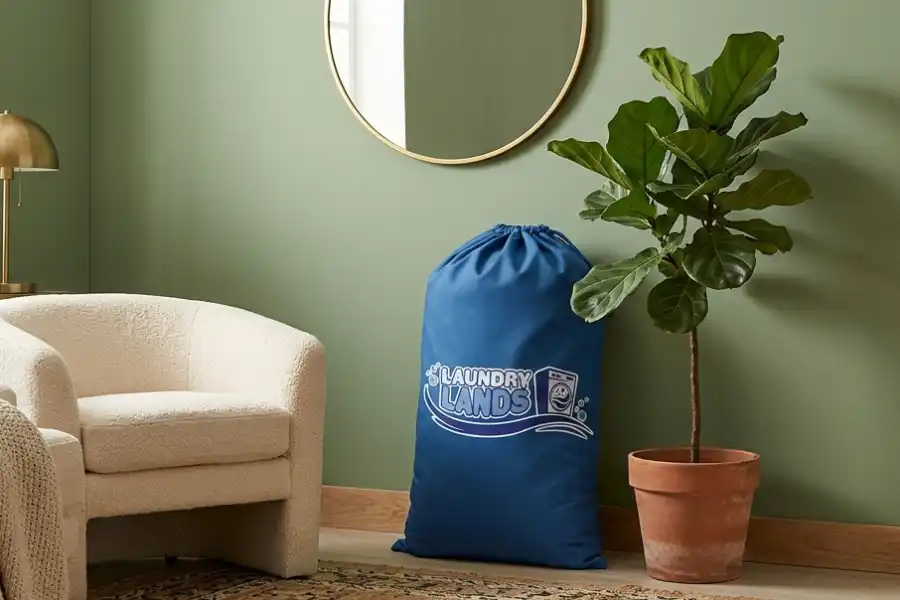 Laundry Lands Home Delivery 003 900X600